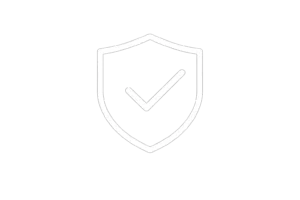 Icono seguridad